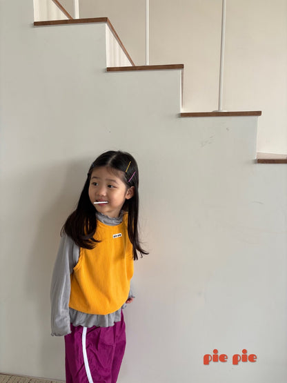 PIE / 2026 Spring / Apple Mango Vest 🕊️取寄