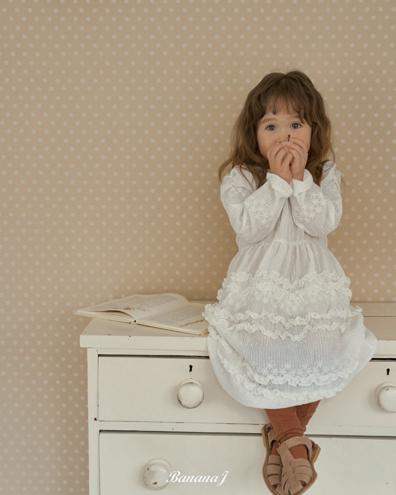 BANANAJ / 2026 Spring / Blanc Dress 🕊️取寄